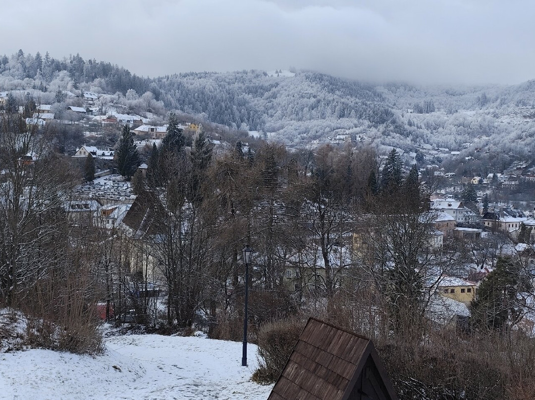 New Castle-班斯卡-什佳夫尼察必去景点