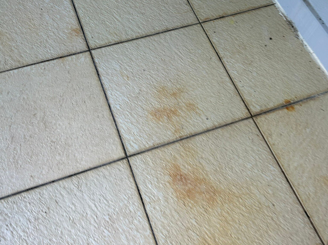 Antilles Exception Martinique-Riviere-Salee必去景点