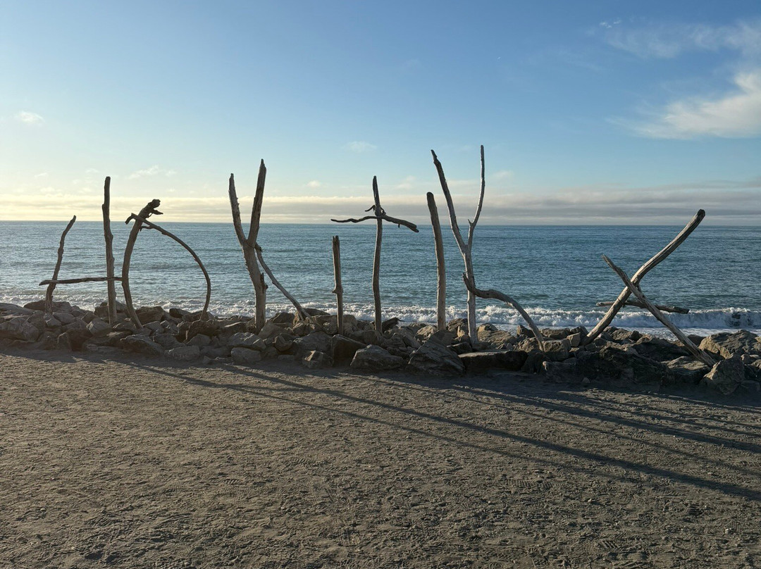 ZigZag Tours NZ-新普利默斯必去景点