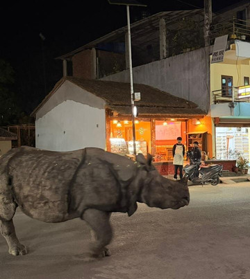 Jungle Expert Treks and Tours-Ratnanagar必去景点