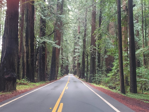 卷纹红杉山林小屋主图
