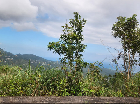 Yardie Tours-奥乔里奥斯必去景点