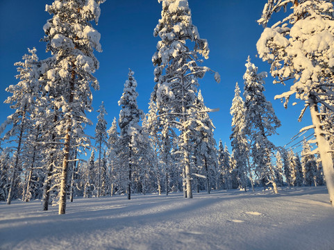 Ukko Lapland Oy-Sodankyla必去景点