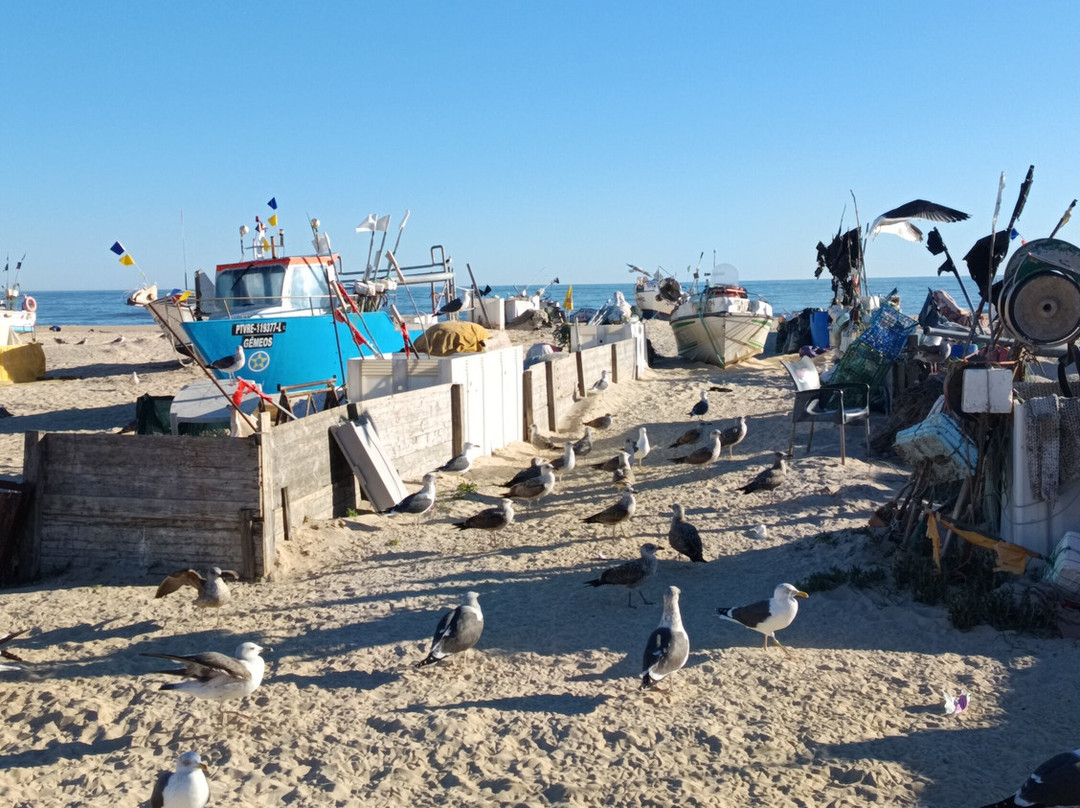 Praia de Monte Gordo-蒙特哥多必去景点