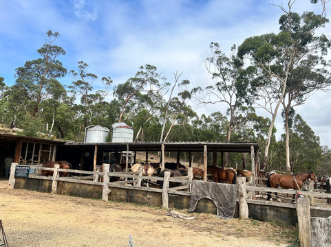 Spring Creek Horse Rides-贝尔布拉必去景点