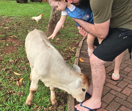 圣克拉拉生态度假酒店主图