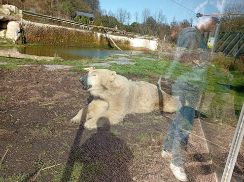 Parc Zoologique de Paris-Hermival-les-Vaux必去景点