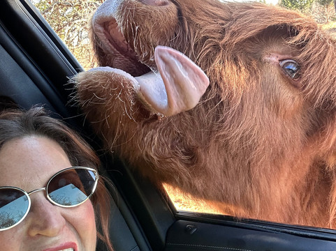 Rocky Ridge Drive Thru Safari-Eustace必去景点