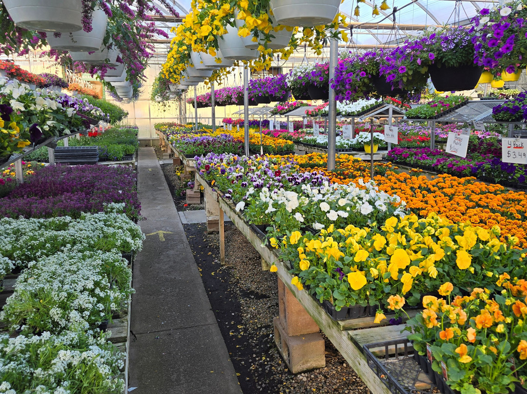 Windmill Garden Centre and Butterfly House-梅迪辛哈特必去景点