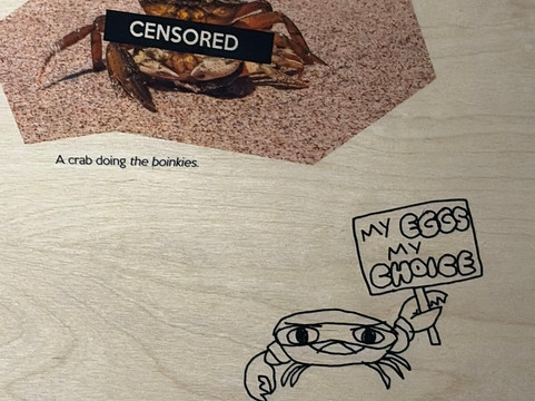 Crab Museum-Margate必去景点