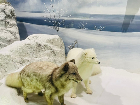 Natural History Museum of Meteora & Mushroom Museum-卡兰巴卡必去景点