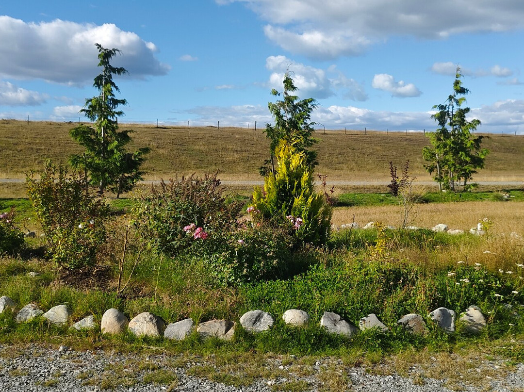 Kahurangi Twizel主图