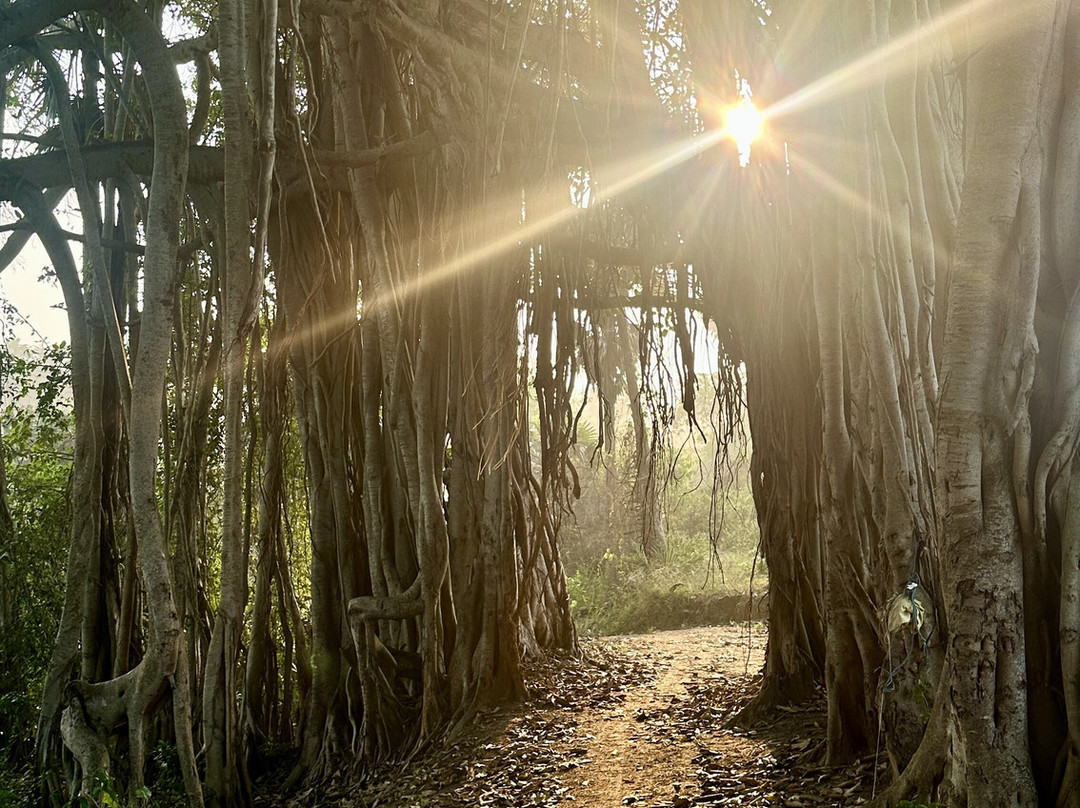 马鲁瑟姆乡村度假村主图
