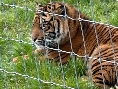 Manor Wildlife Park-St. Florence必去景点