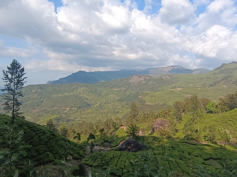 Munnar Info-慕那尔必去景点