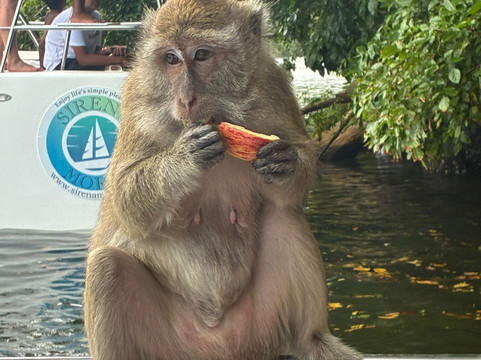 Belinda Boat Tour-贝尔马尔必去景点