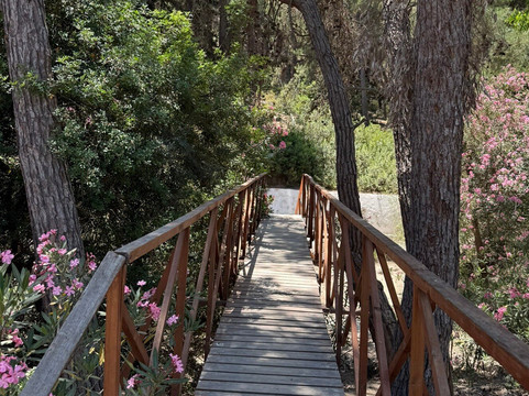 Plaka Forest-Kós必去景点