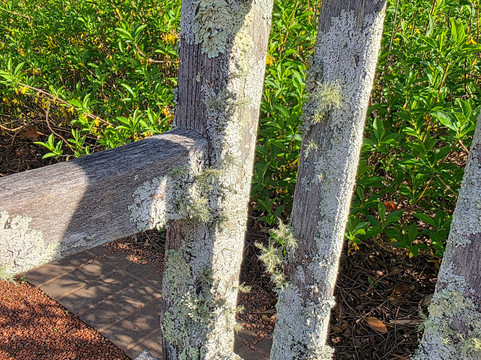 State Botanical Garden of Georgia-阿森斯必去景点