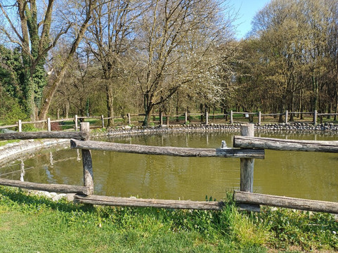 Bosco delle Querce-塞维索必去景点