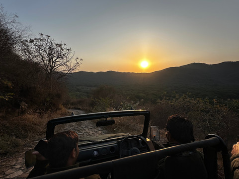 Travel With-阿格拉必去景点