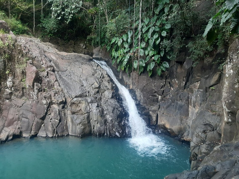Cascade Le Saut de L'Acomat-Pointe-Noire必去景点