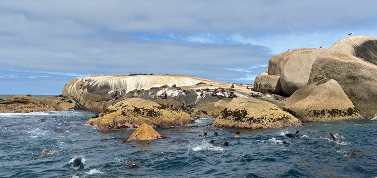 Fun Over Fifty-布里斯班必去景点