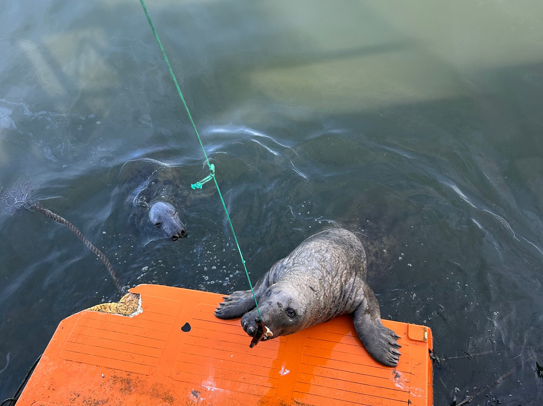 Berwick Visitor Centre-特威德河畔贝里克必去景点