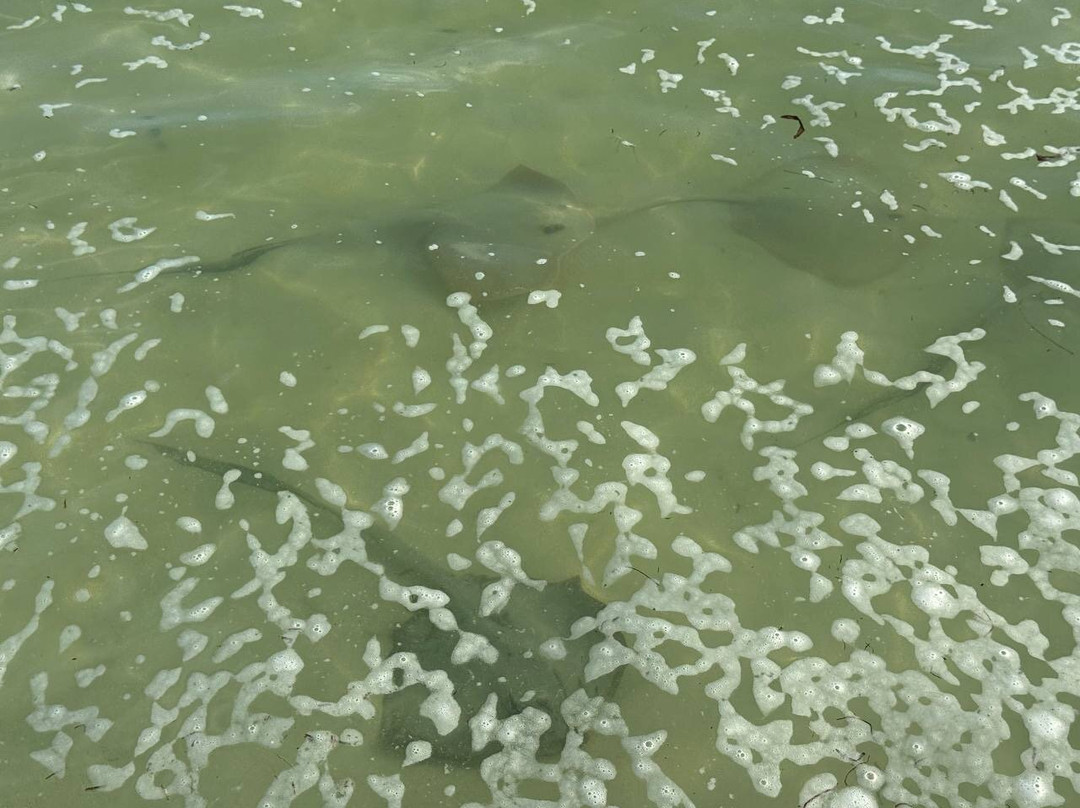 Grand Anse beach-马埃大安塞区必去景点