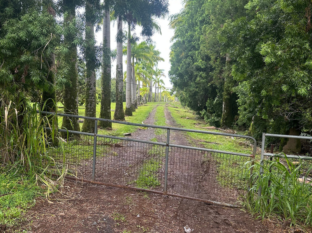 哈马库阿客栈主图