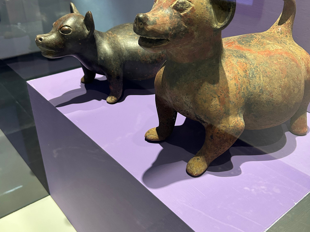 Museo de Arte Prehispánico de México-瓦哈卡必去景点
