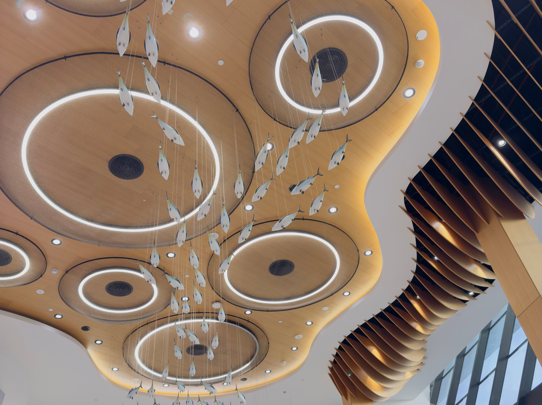 The National Aquarium Abu Dhabi-阿布扎比必去景点