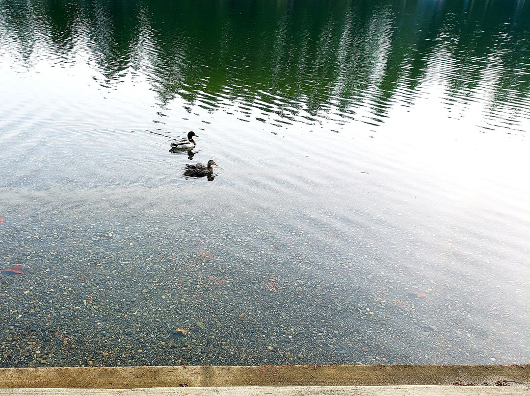 Lake Tapps Park