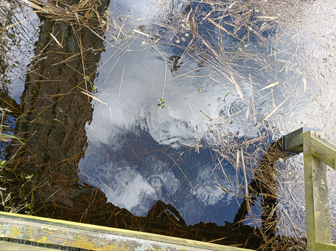 Lakenheath Fen RSPB Reserve-Lakenheath必去景点