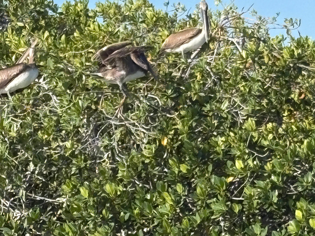 Santi Tour-普拉亚德尔卡曼必去景点