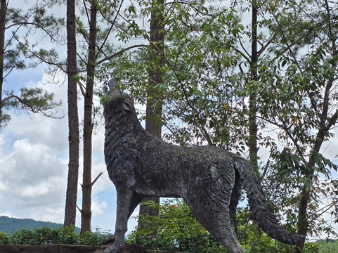 Sculpture Tunnel-大勒必去景点