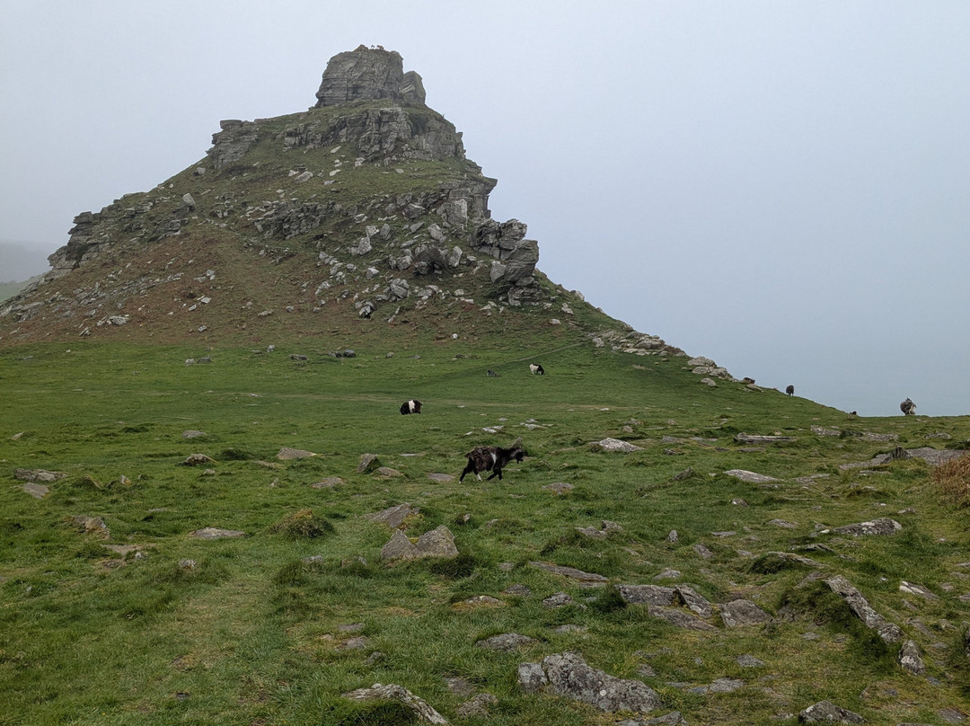 Valley of Rocks Walk-South West Coast Path-林顿必去景点