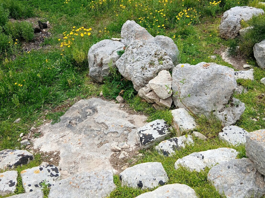 Tal-qadi Temple-Naxxar必去景点