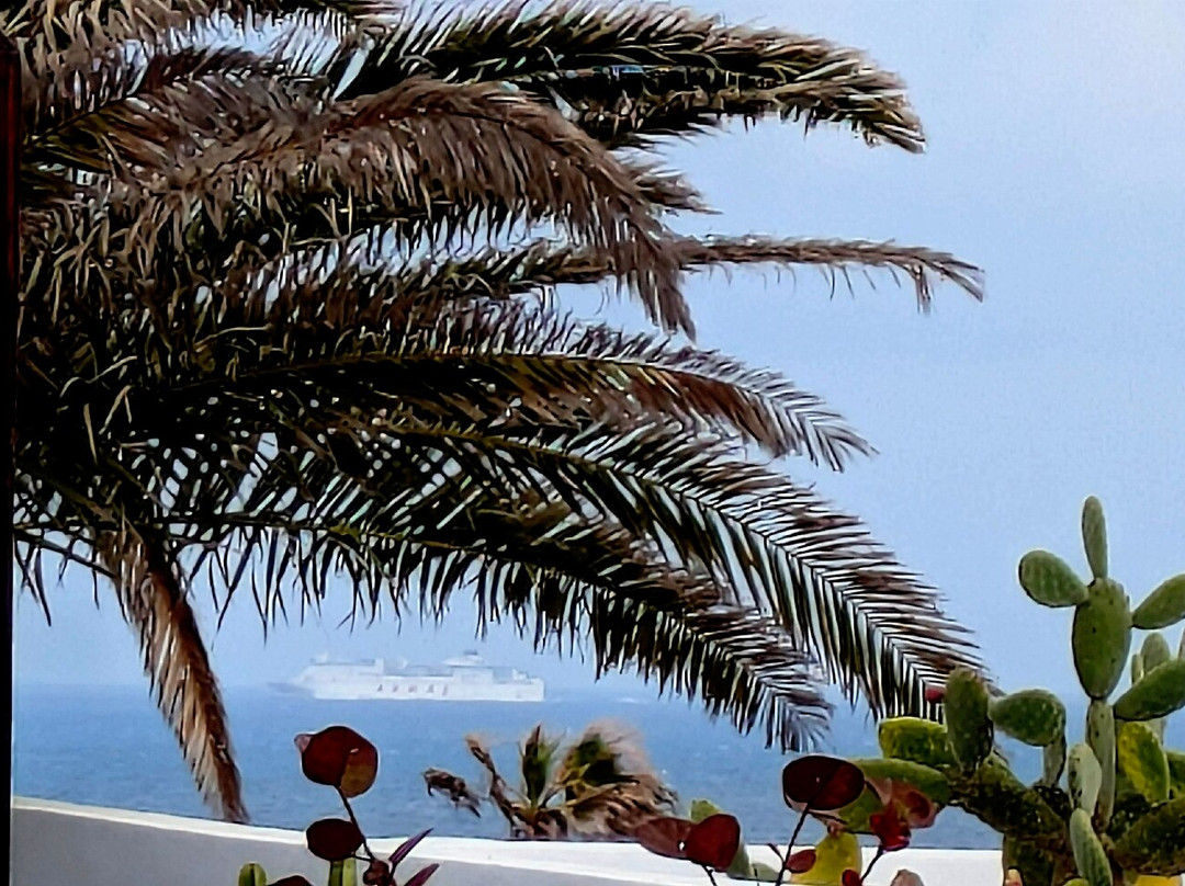 Charco del Palo-兰萨罗特必去景点