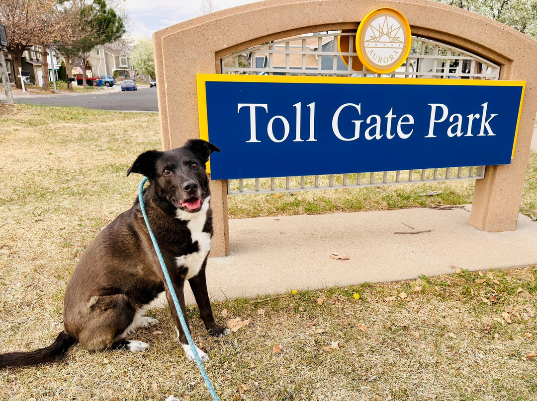Tollgate Park-奥罗拉必去景点