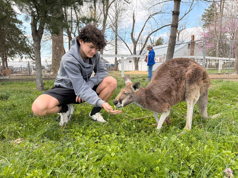 Rainbow Ranch Petting Farm-Nashville必去景点