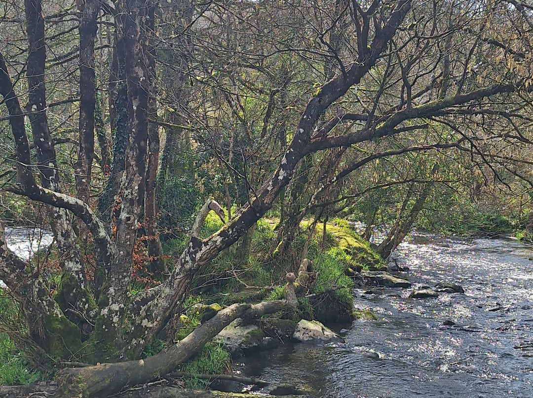 Tarr Steps-Dulverton必去景点