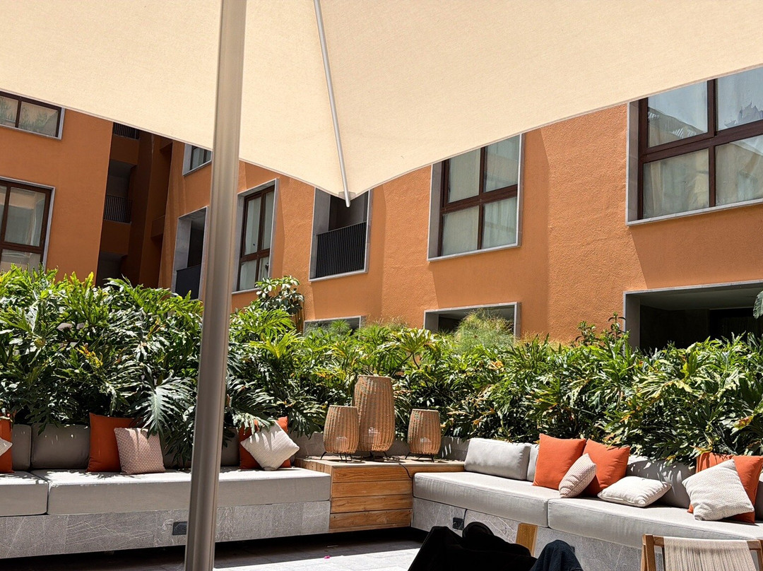 Ayoli