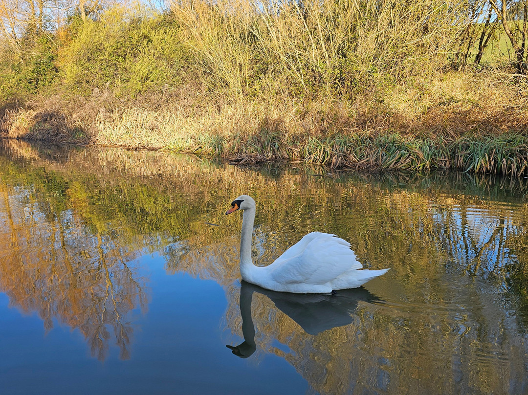 Boutique Narrowboats-马基特哈伯勒必去景点