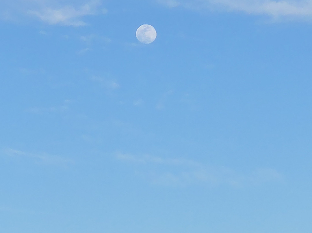State Route 244-Cloudcroft必去景点