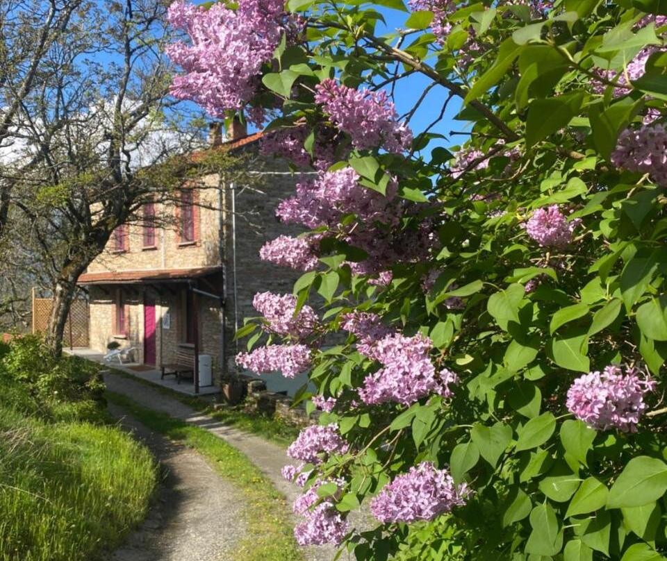 LA LUPA E L'ORSO B&B