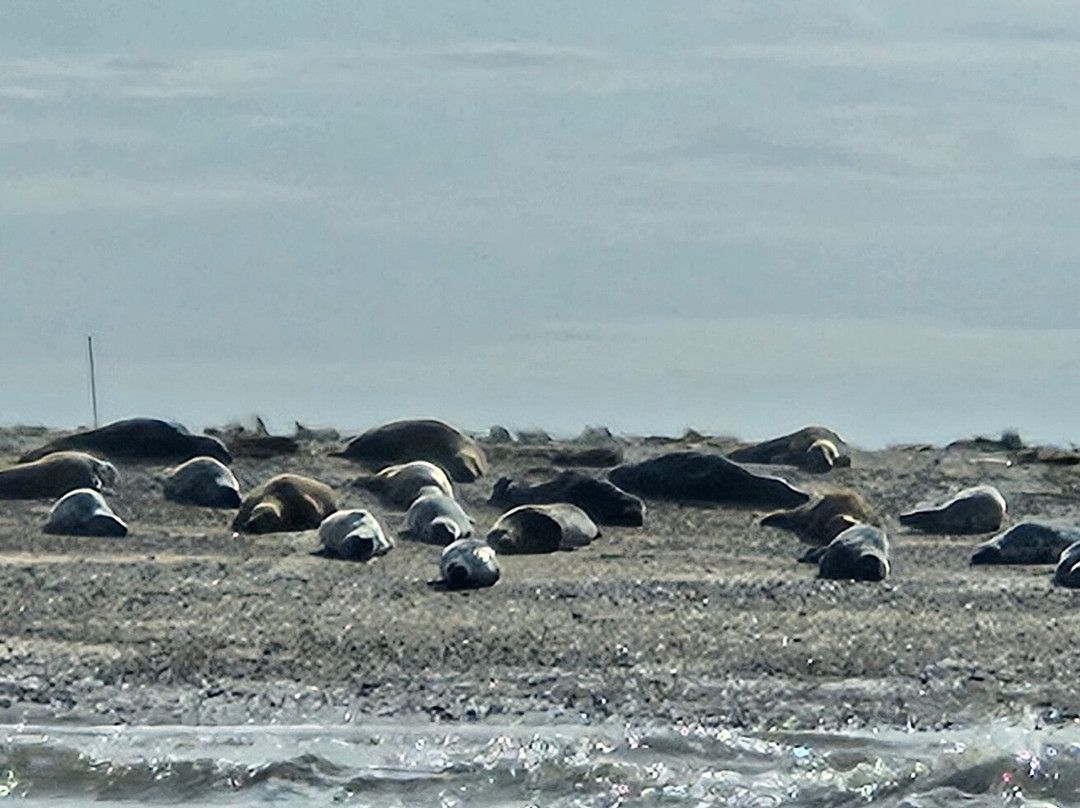 Bishops Boats Seal Trips-布莱克尼必去景点
