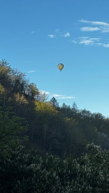贝莱福酒店-官方