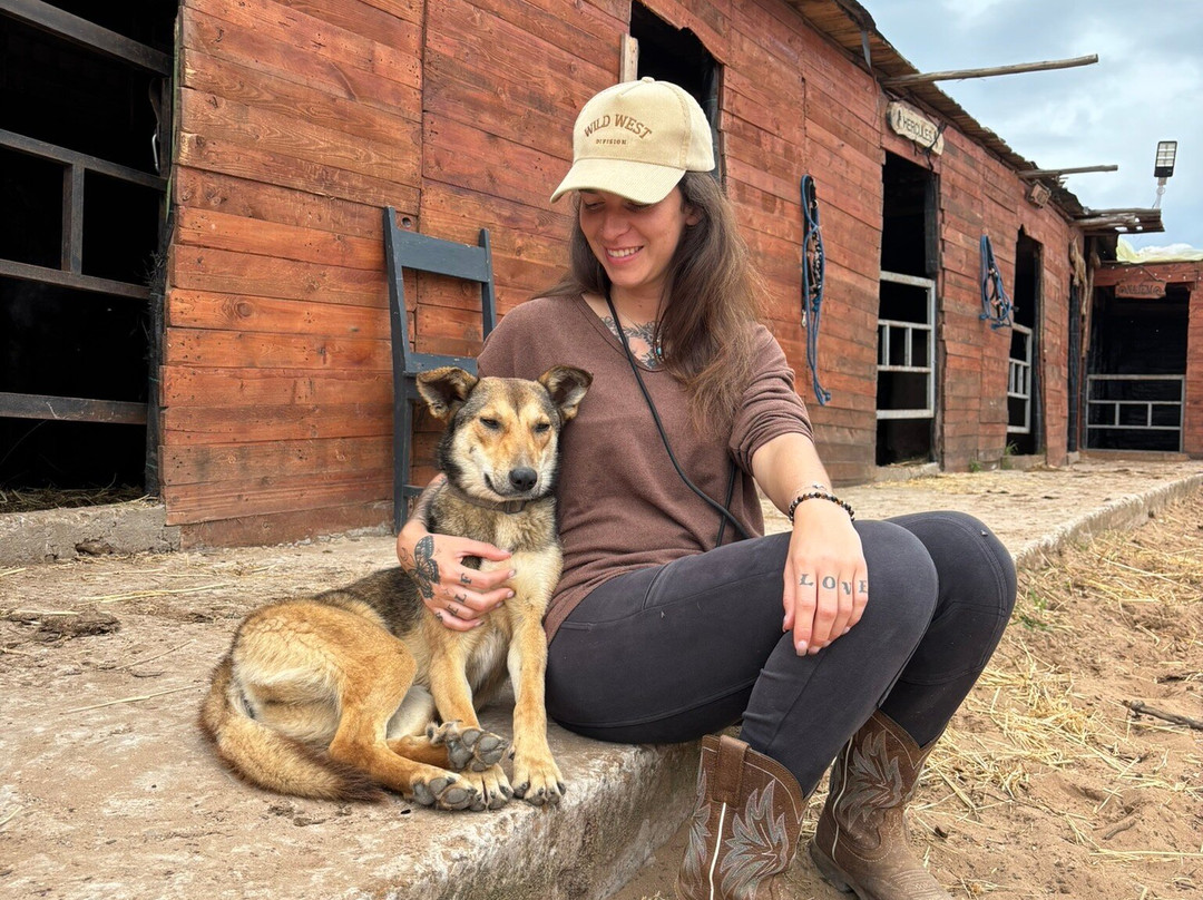 Essaouira Dreamers-索维拉必去景点