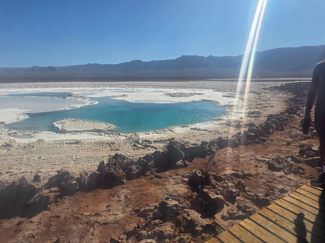 Lagunas Escondidas de Baltinache-圣佩德罗-德阿塔卡马必去景点