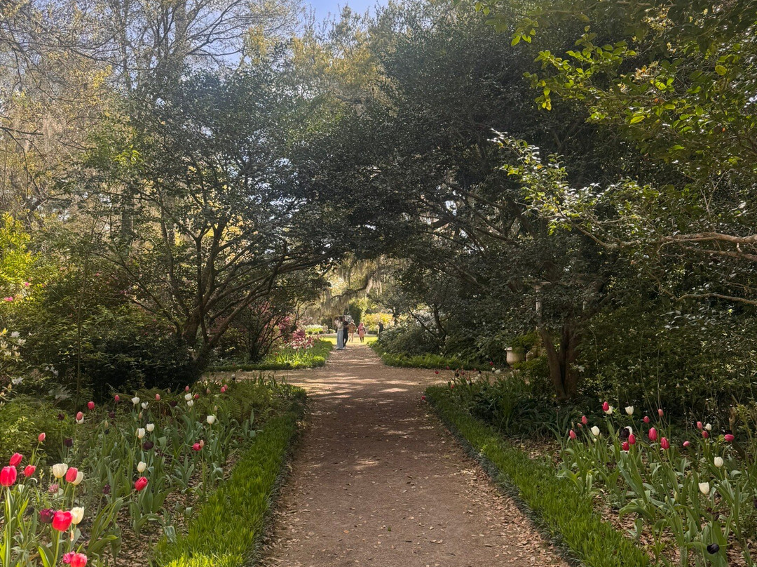 Airlie Gardens-威尔明顿必去景点